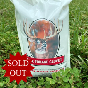 Buck Forage Clover