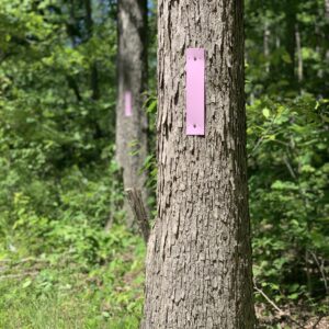 Purple Posted Signs